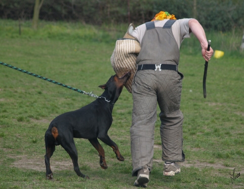 Training 4. 4. 2007